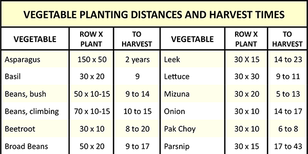 planting-distances-and-harvest-times-urban-food-garden